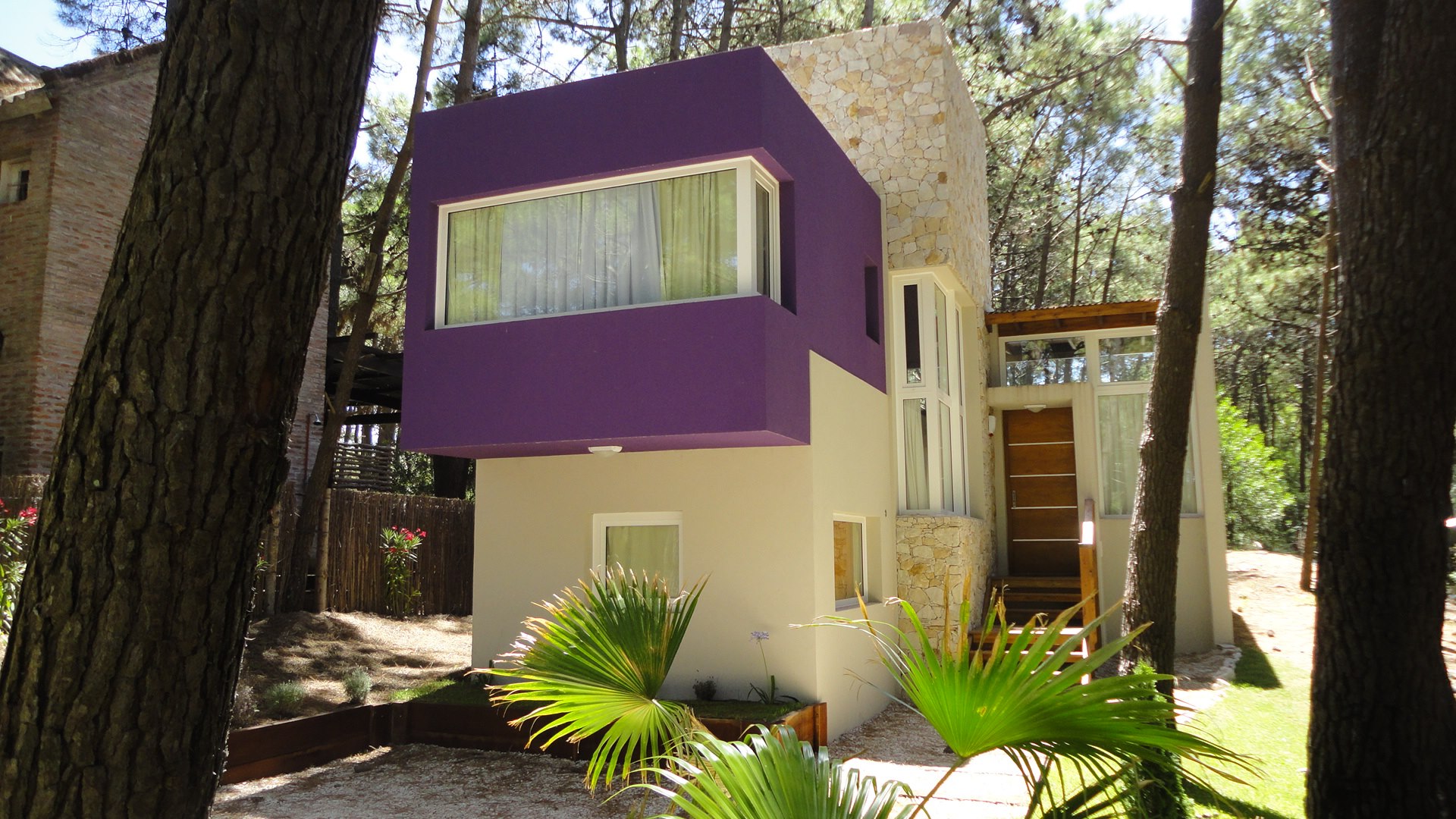 Casa Selva — Reforma Integral (Morado / Rojo) - Imagen 6